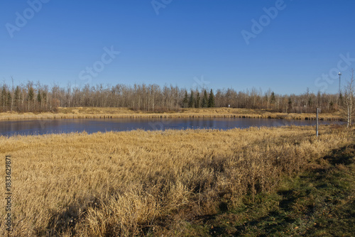 A Sunny Autumn Day at Pylypow