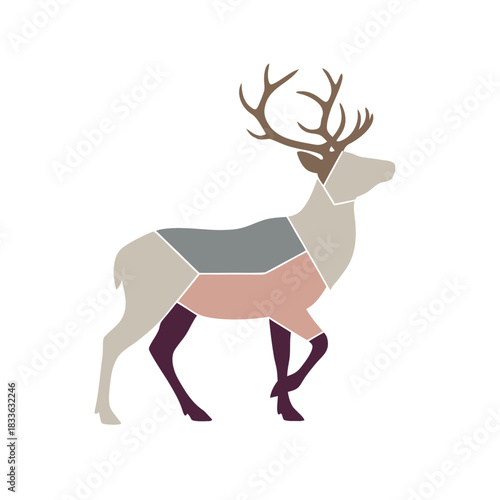 A modern and clean vector illustration of a rusa deer butcher diagram showing prime cuts of venison for culinary use