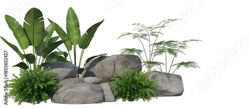 A lush green tropical plant arrangement with large grey rocks and delicate ferns on a white background