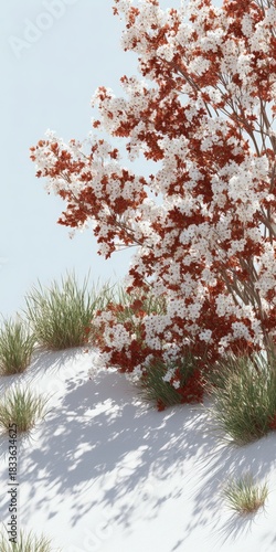 Blooming white and brown tree branches casting long shadows on bright white ground with green grass clumps