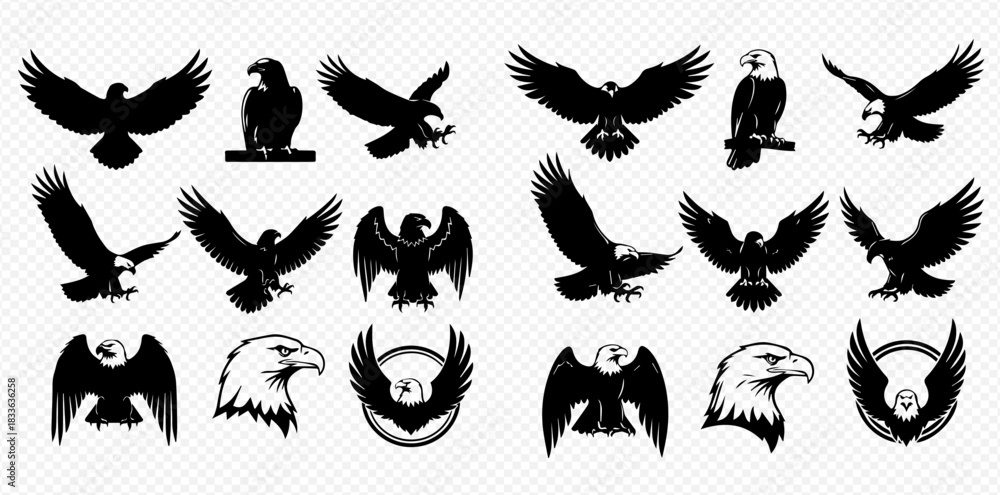 Fototapeta premium A comprehensive collection of various eagle silhouettes and a detailed head drawing, showcasing different poses and styles.