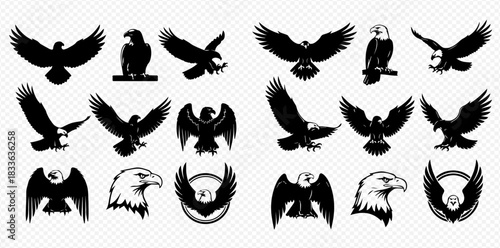 A comprehensive collection of various eagle silhouettes and a detailed head drawing, showcasing different poses and styles.