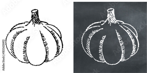 Chalk Handdrawn Garlic Vector Ideal for menu, food, recipe, and garden graphics in a rough chalkboard style. Symbolizes simple produce, strong seasoning, and cooking ingredient.