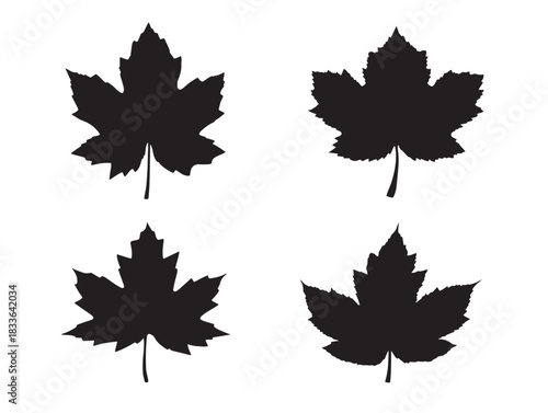 A stunning set of four beautiful maple leaf silhouette vector icons