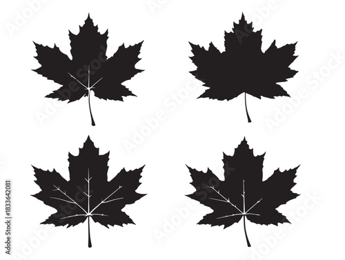 A beautiful set of four gorgeous maple leaf silhouette vector icons