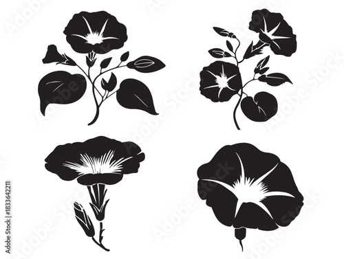 A stunning set of four elegant morning glory flower silhouette vector icons