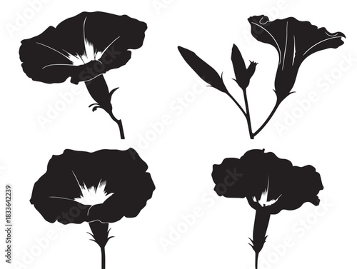 A nice set of four simple morning glory vine silhouette vector icons