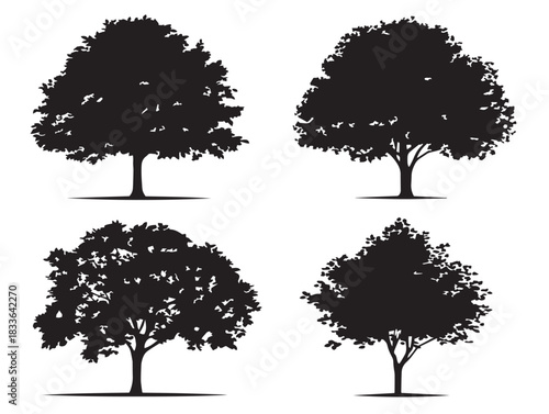 A gorgeous set of four elegant maple tree silhouette vector icons
