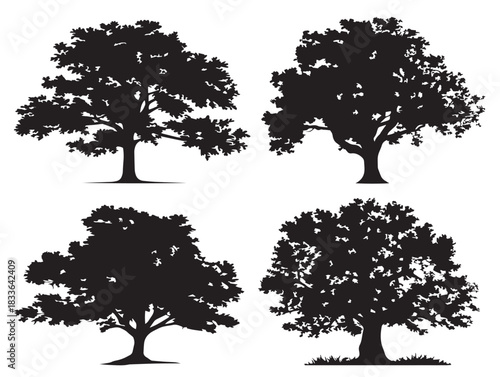 A nice set of four strong oak tree silhouette vector icons in solid black