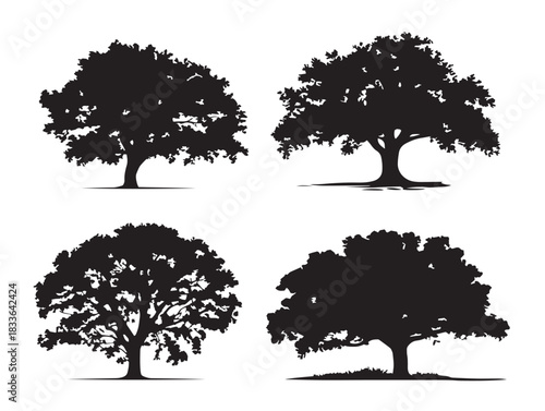A beautiful set of four gorgeous oak tree silhouette vector icons