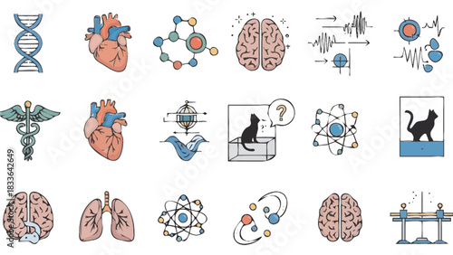 set of different types of human body parts