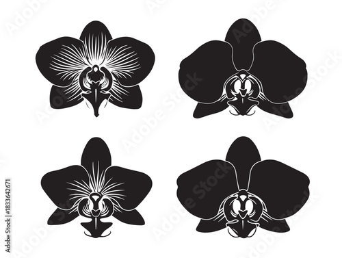 A gorgeous set of four elegant orchid silhouette vector icons
