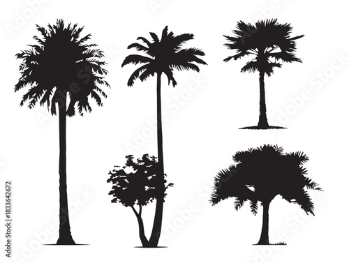 A nice set of four tropical palm grove silhouette vector icons