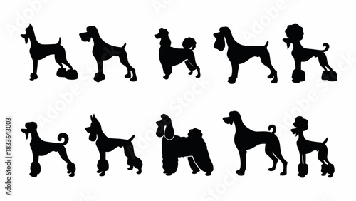 Elegant dog silhouettes showcase canine breeds, ideal for pet lovers, grooming services, and animal design elements. Perfect for logos, prints, and branding visuals.