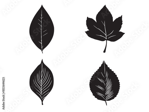 A gorgeous collection of four tree leaf silhouette icons in black