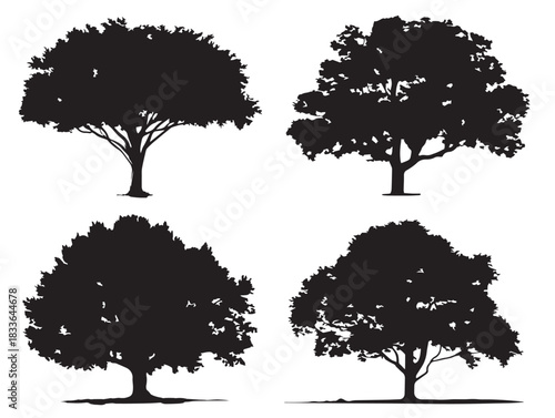 A stunning set of four solid black tree canopy silhouette vector icons