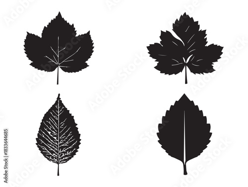 A stunning collection of four solid black tree leaf silhouette icons