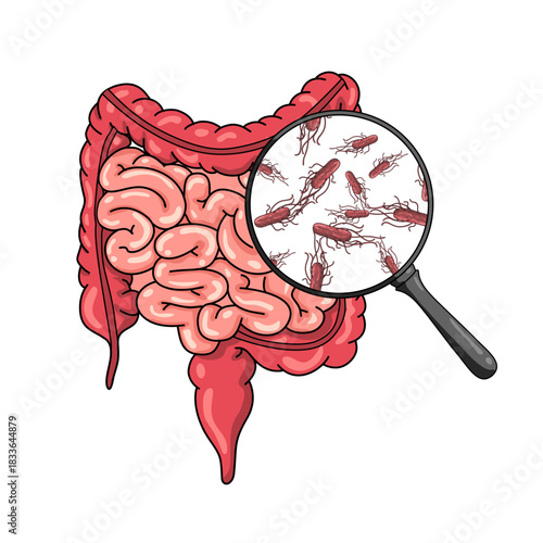 Illustration of escherichia bacteria. e.coli, bad bacteria in the human body. dangerous micro organisms, vector illustration for medical posters, treatment, or clinics.