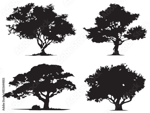 A gorgeous set of four beautiful tree silhouette vector icons