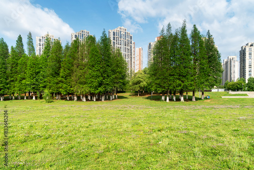 Photography city park with modern building background in shanghai
