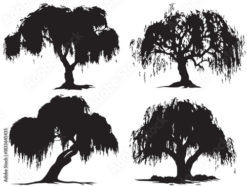 Elegant and Flowing Willow Tree Outline Illustrations for Nature