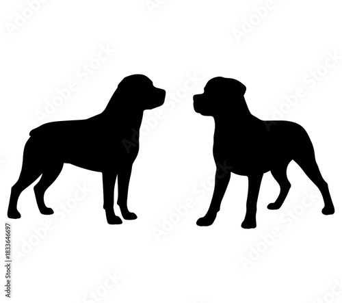 Black Rottweiler dogs silhouette vector illustration isolated