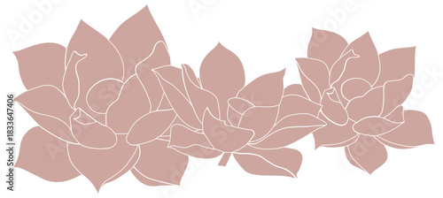 A romantic and feminine line illustration depicting intertwined lotus flowers