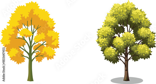 Tree illustration, autumn foliage, seasonal change, botanical drawing, yellow leaves, green leaves, nature art, forest design, plant graphic, environmental concept