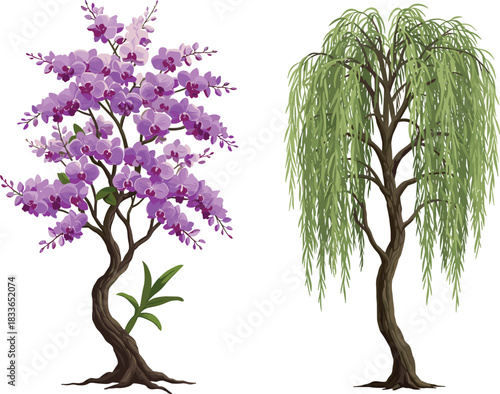 Cad drawing flat vector illustration, orchid flower tree, willow tree, botanical contrast, nature comparison, plant study, vibrant foliage, twisted trunk