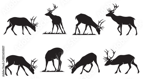 Deer stag buck silhouettes in various poses on white background set vector.