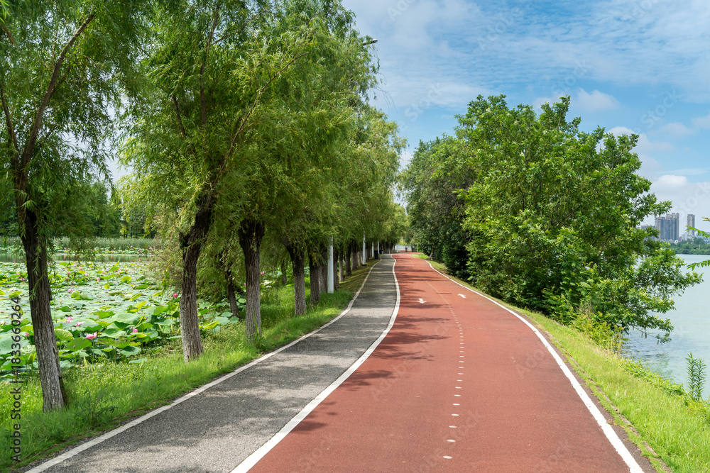 Obraz premium New pathway and beautiful trees track for running or walking and cycling relax in the park