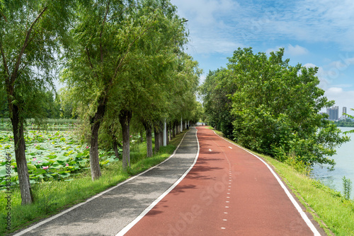 New pathway and beautiful trees track for running or walking and cycling relax in the park