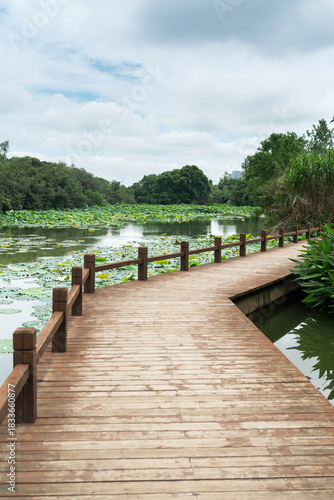boardwalk in the City Park