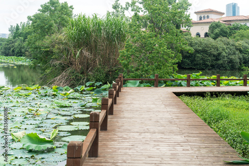 boardwalk in the City Park