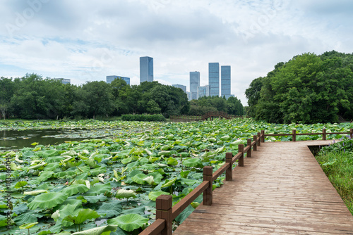 spring park and modern city