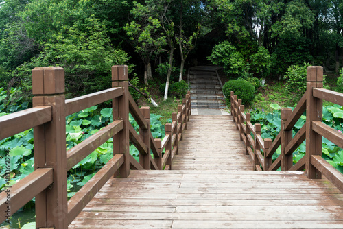 boardwalk in the City Park