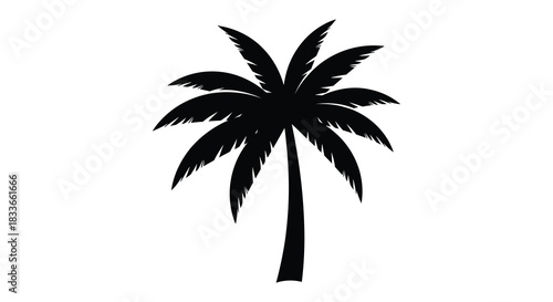 A striking dark palm tree stands alone against a white background a beautiful silhouette