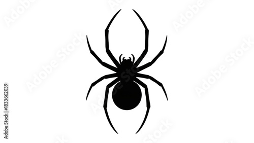 Elegant Silhouette of a Creepy Crawly Spider on White Background