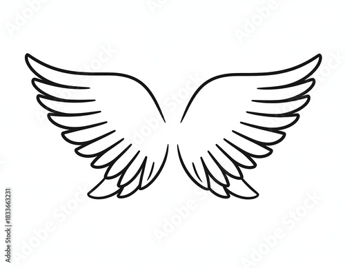 Black outline illustration of symmetrical avian appendages, rendered in a simple graphic style. Depicting feathers in flight