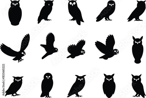 Collection of fifteen owl silhouettes in various standing and flying poses, representing nocturnal wildlife, wisdom, and mystery vector,