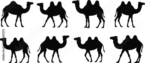 Collection of eight detailed camel silhouettes with one or two humps, representing desert wildlife, travel, and oasis themes.