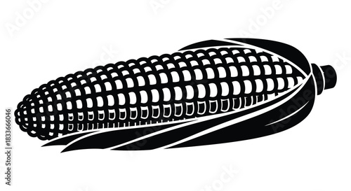 A striking black and white illustration of a corn cob with detailed kernels silhouette