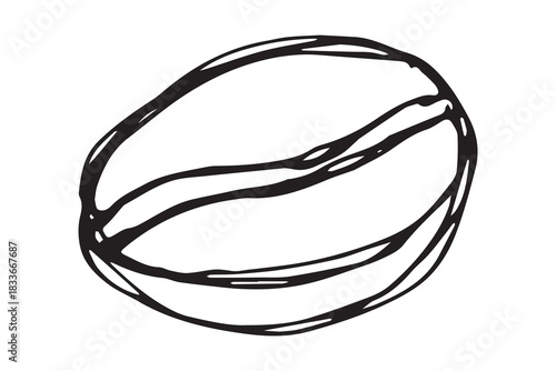 Hand drawn fresh roasted coffee bean Arabica robusta seed doodle Single element for print, web, design, decor
