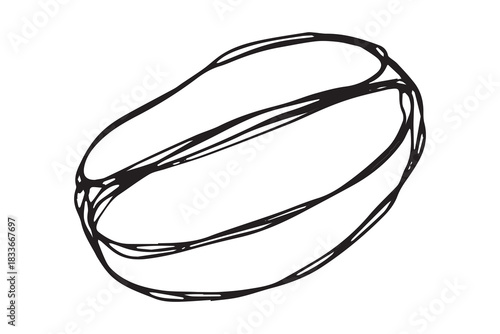 Hand drawn fresh roasted coffee bean Arabica robusta seed doodle Single element for print, web, design, decor