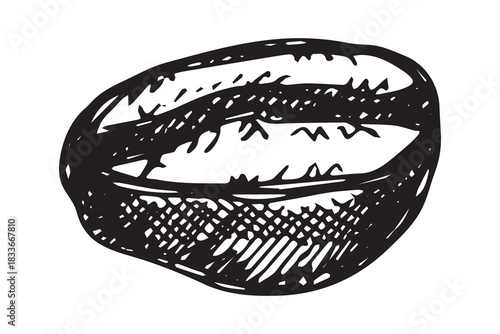 Hand drawn fresh roasted coffee bean Arabica robusta seed doodle Single element for print, web, design, decor
