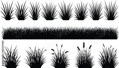 Black silhouette grass clumps and horizontal border on white background vector