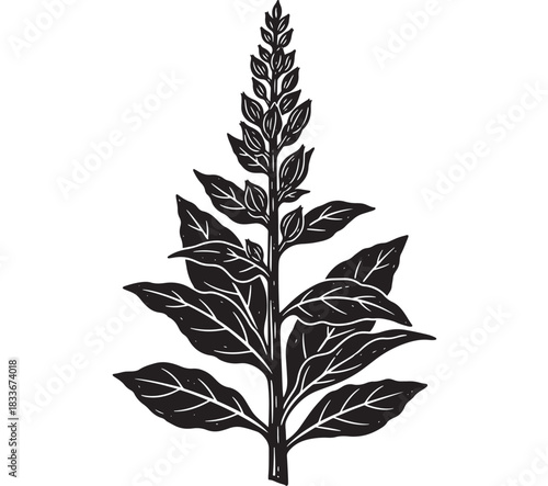 Unique botanical linocut art of a flowering plant with detailed leaves, perfect for nature-inspired designs and elegant branding showcasing organic beauty and natural themes