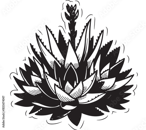 Stunning agave plant illustration with bold lines and modern botanical style, perfect for adding a touch of desert chic to your next design project or creative endeavor today
