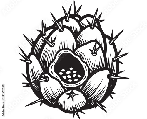 Intricate botanical illustration of a blooming cactus flower with sharp spines, perfect for tattoo design, edgy art prints, or unique logo elements with a desert vibe