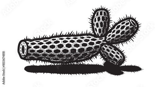 Unique black and white graphic illustration of a spiky tubular plant with a hexagonal pattern, ideal for creative projects, nature designs, or adding an edgy botanical element to your work